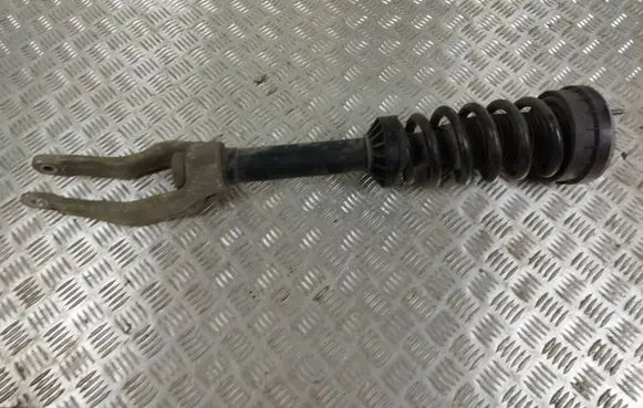 Jaguar F-Pace Front shock absorber with coil spring HK8318B036MF