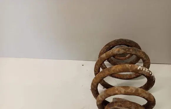 Ford Galaxy Rear coil spring
