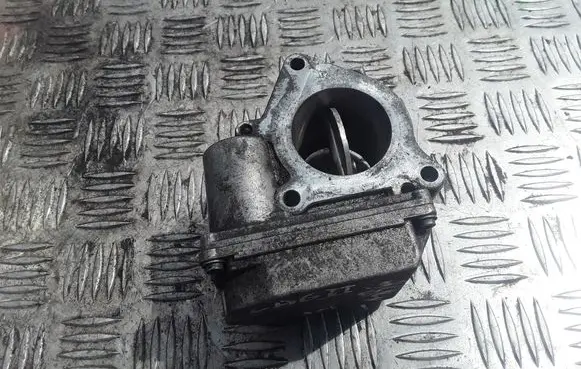 Renault Laguna II Throttle valve A2C53103391