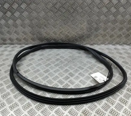 Nissan Ariya Rubber seal front coupe door 808315MP0A