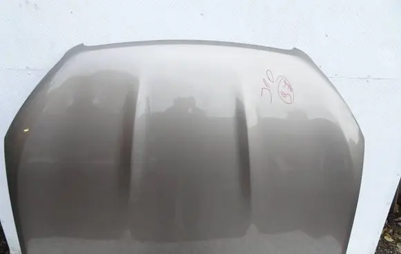 Engine bonnet/hood