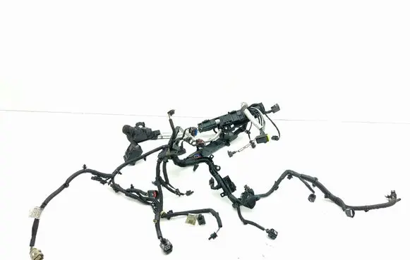 Engine installation wiring loom
