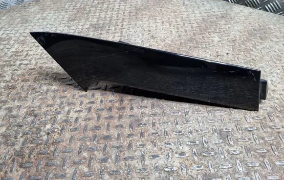 Rear/tail light trim molding