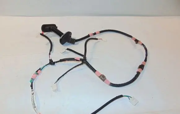 Rear door wiring loom