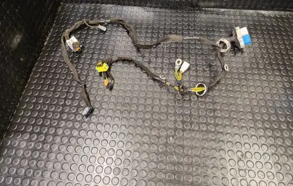 Citroen C4 II Front door wiring loom 9810100880