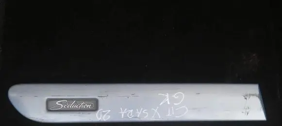 Citroen Xsara Rear door trim (molding) 9625763177