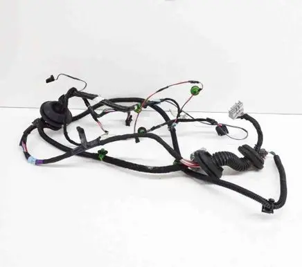 Rear door wiring loom