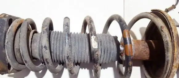 Hyundai Elantra Rear coil spring