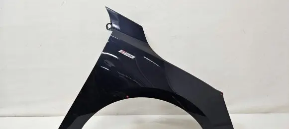 Ford Focus Fender