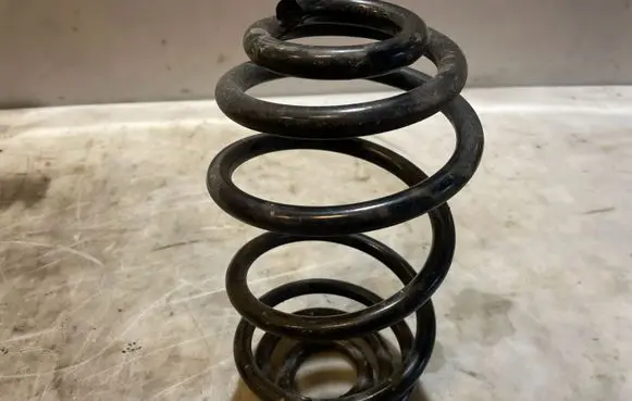 Rear coil spring