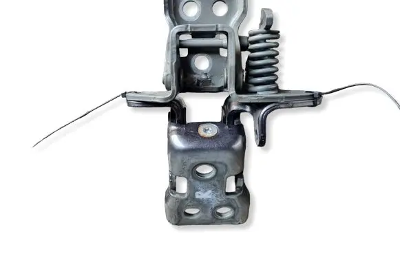 Dodge Challenger Front door hinges set 