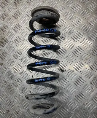 Rear coil spring