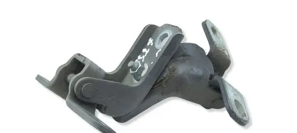 Hyundai Ioniq Front door hinge set 