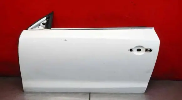 Renault Laguna III Front door