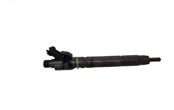 Jaguar XF X250 Fuel injector 0455116013