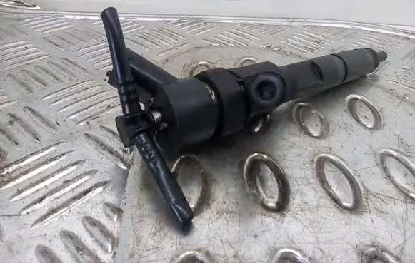 Renault Scenic II - Grand scenic II Fuel injector 8200100272 0445110
