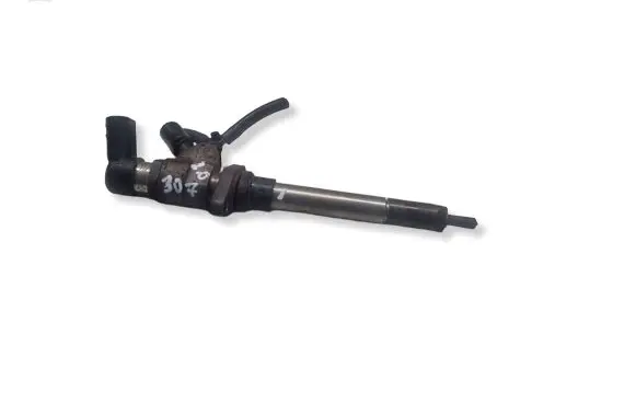 Peugeot 307 Fuel injector 9657144580 022809 34042795
