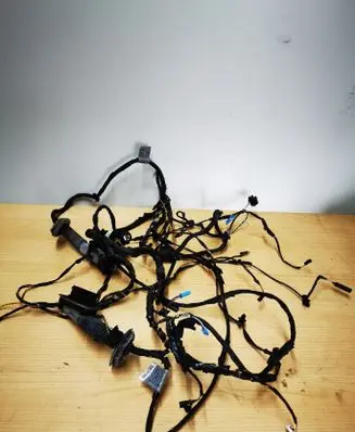 BMW 5 F10 F11 Front door wiring loom 9219504 7565034