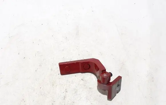 Rear door lower hinge