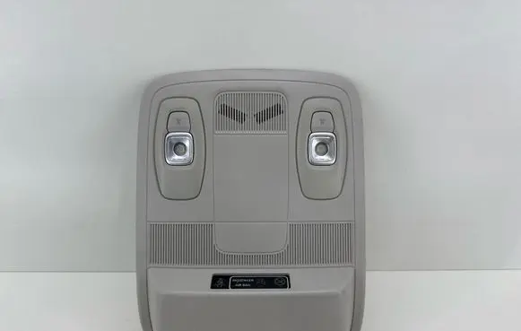 Renault Megane IV Front seat light 969806373R