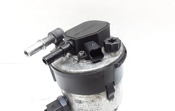 Volvo C30 Fuel filter 