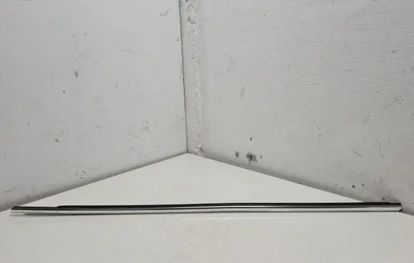 Volkswagen Beetle A5 Front door glass trim molding 