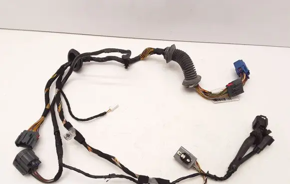 Front door wiring loom