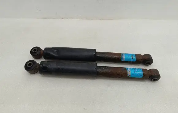 Opel Vectra C Rear shock absorber/damper 300064 844904003737