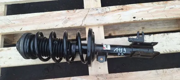 Opel Zafira B Front shock absorber with coil spring AGX088MT