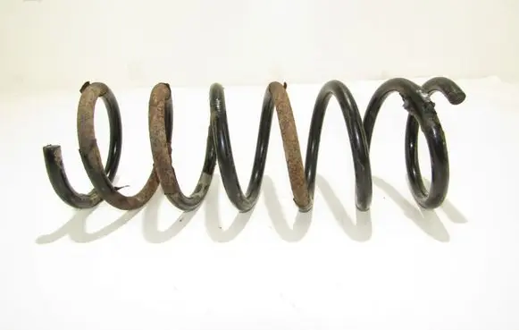 Rear coil spring