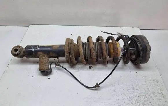 BMW X3 F25 Rear shock absorber with coil spring 6799911 37126799911