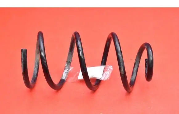 Rear coil spring