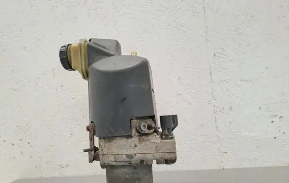 Renault Laguna III Power steering pump 491109313R 102706D1