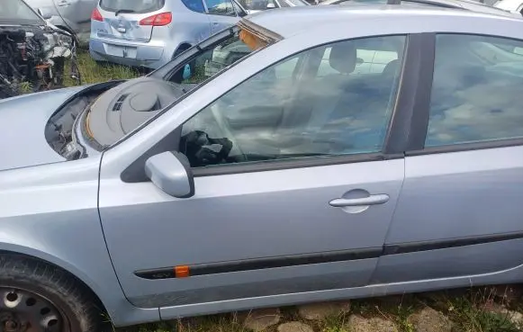 Renault Laguna II Front door
