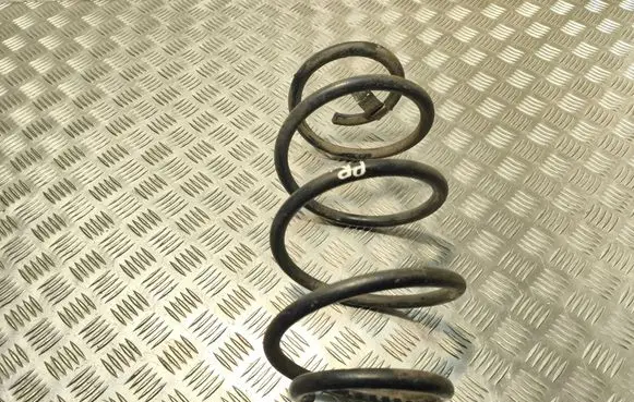Chrysler Pacifica Front coil spring 