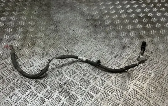 Other wiring loom