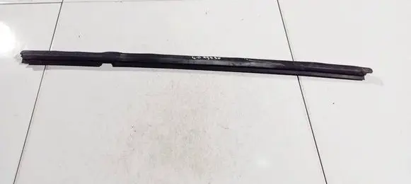 Opel Insignia A Rubber seal front coupe door 