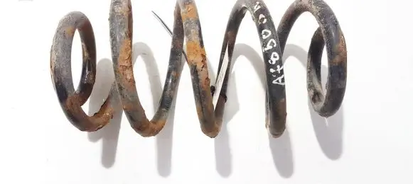 Opel Vectra C Rear coil spring