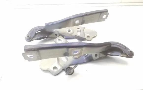 Engine bonnet/hood hinges