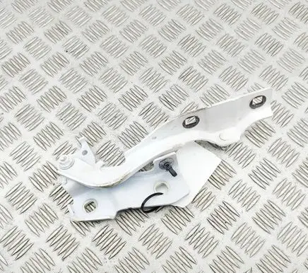 Alfa Romeo Giulia Engine bonnet/hood hinges 50545215