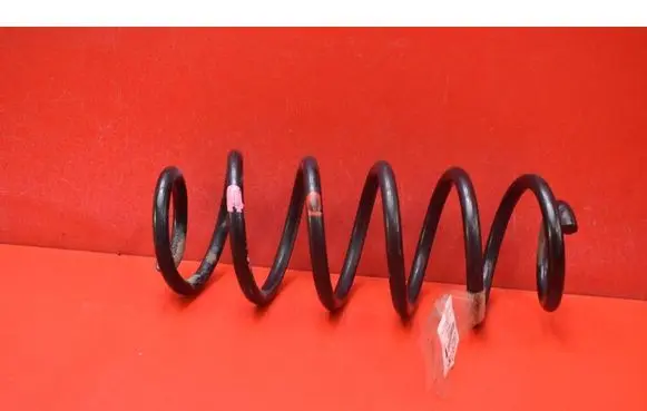 Rear coil spring