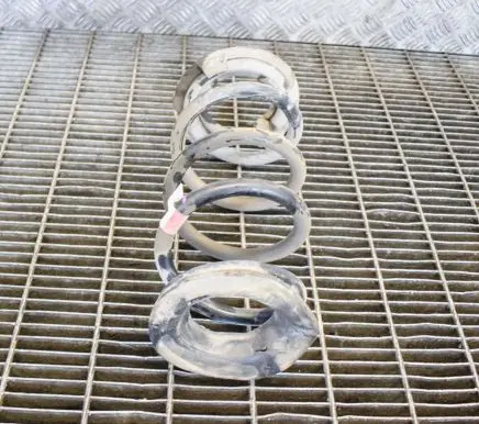 Tesla Model 3 Rear coil spring 104447291E