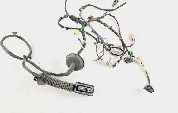 Volkswagen T-Roc Front door wiring loom 8K0972702 4L0971841 2GA971120