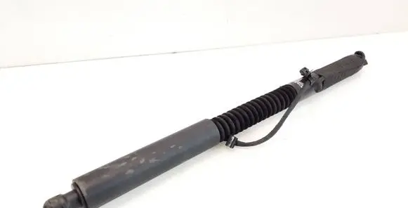 Tesla Model X Rear door soft close latching motor 106344001D 210821303