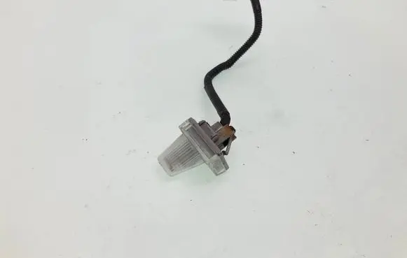 Nissan Leaf II (ZE1) Number plate light