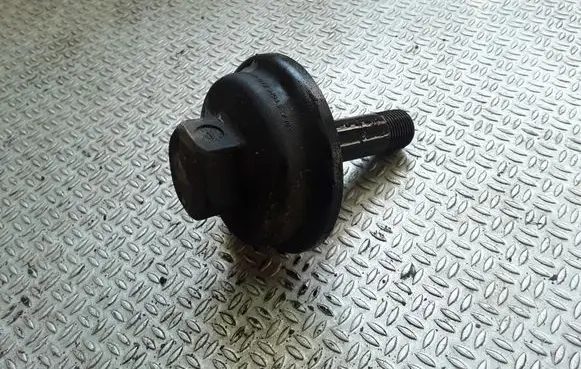 Volkswagen Golf IV Oil filter cover 021117061B