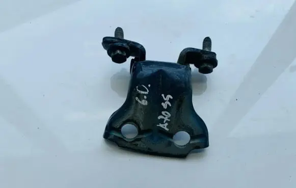 Rear door lower hinge