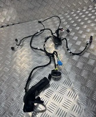 Audi A6 S6 C8 4K Front door wiring loom 4K5971029E