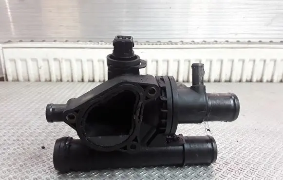 Thermostat/thermostat housing