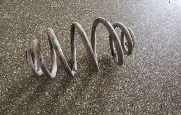 Volkswagen PASSAT B5 Rear coil spring